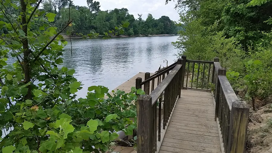 Wooden boardwalk with railings stepping down through green trees to a dock on the Black Warrior River