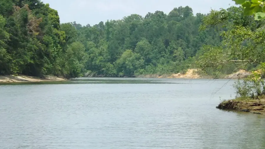Wide bend of the Black Warrior River with wooded banks and a sandy shoreline